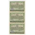 3rd Classic Lottery of the Central Welfare Council, 1918 B, C, D (942)
