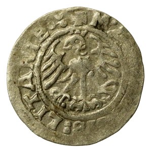 Sigismund I the Old, Half-Grosz, 1519, Vilnius – MONEI error. Obverse: 5 dots (211)