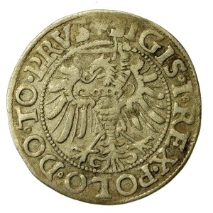 Zygmunt I. Starý, groš z roku 1539, Elbląg – PRVS (212)