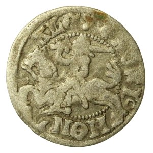 Alexander Jagiellon, Vilnius Half-Groschen - LITVANI' - rare (221)