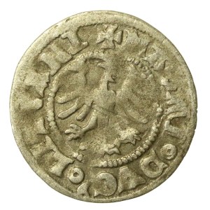Alexander Jagiellon, Vilnius Half-Groschen - LITVANI' - rare (221)