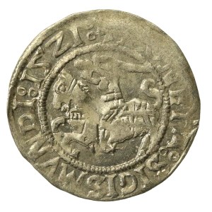 Sigismund I the Old, Half-grosz, 1521, Vilnius (227)