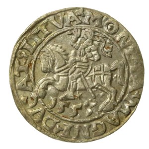 Sigismund II Augustus, Half-grosz, 1553, Vilnius - LI/LITVA. Rare (228)