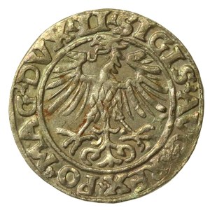 Sigismund II Augustus, Half-grosz, 1553, Vilnius - LI/LITVA. Rare (228)
