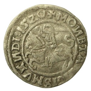 Sigismund I the Old, Half-grosz, 1520, Vilnius—SIGISMVA(N)NDI error. Rare (230)