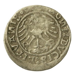 Sigismund I the Old, Half-grosz, 1520, Vilnius—SIGISMVA(N)NDI error. Rare (230)