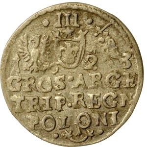 Sigismund III Vasa, Trojak 1623, Kraków (463)