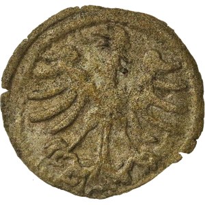 Alessandro Jagellone, Denaro, Vilnius (487)