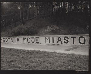 Herman Maciej