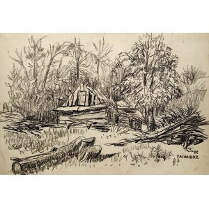 Donald Solo, Kazimierz