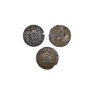 Zestaw 3 monet: Livonia szwedzka, 1 solidus, lata 1647–1653