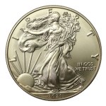 USA, 1 Dollar 2021 - American Eagle, 1 oz. Ag 999 (202)