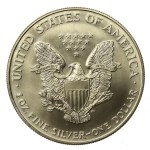 USA, 1 dollar, 1994 - American Eagle, 1 oz. Ag 999 (203)