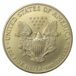 USA, 1 dollar, 1998 – American Eagle, 1 oz. Ag 999 (204)