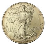 USA, 1 Dollar 2004 - American Eagle, 1 oz. Ag 999 (205)