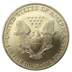 USA, 1 Dollar 2004 - American Eagle, 1 oz. Ag 999 (205)