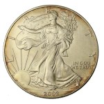 USA, 1 Dollar 2002 - American Eagle, 1 oz. Ag 999 (206)