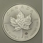 Canada, Elizabeth II, 5 dollars 2020 - Maple Leaf, 1 oz. Ag 999 (407)