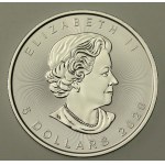 Canada, Elizabeth II, 5 dollars 2020 - Maple Leaf, 1 oz. Ag 999 (407)
