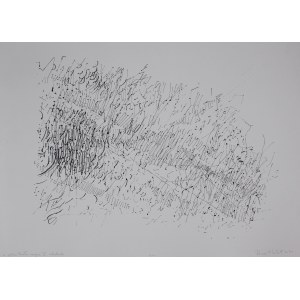 Romana [Roma] Hałat, From the series White Magic II, 2003