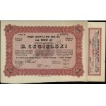 Poland, 5 shares at 100 zlotych each = 500 zlotych, April 1, 1929, Poznań