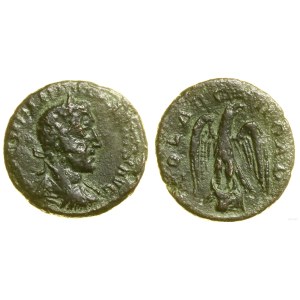 Provincial Roman, bronze, (253–268), Troas