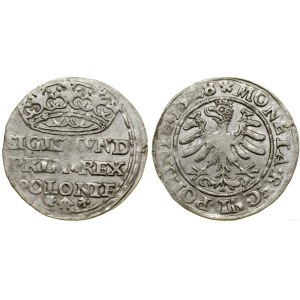 Poland, grosz, 1528, Kraków