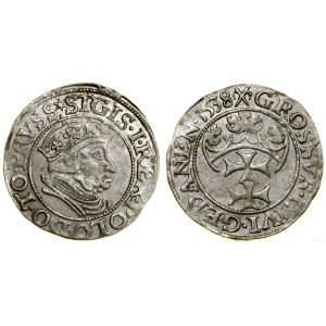 Poland, grosz, 1538, Gdańsk