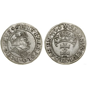Poľsko, groš, 1540, Gdaňsk