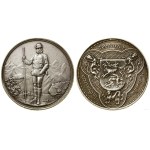 Austria, commemorative medal, 1889