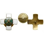 Poland, 20th Field Artillery Regiment - Officer