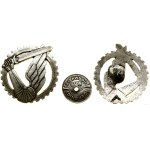 Poland, Armored Emblem (COPY)