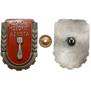 Polska, Wzorowy Moździerzysta wz. 51 (KOPIA), 1951-1953