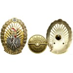 Poland, commemorative badge, 1999
