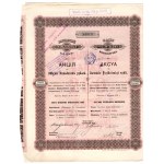 Warsaw Industrial Bank S.A., 250-ruble share, 1911