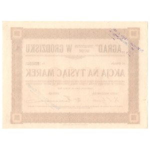 Agrad Joint-Stock Company in Grodzisk, 1,000 Polish marks per share, Issue III