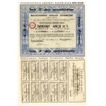 Białaczów Ceramics Works, Inc., common stock: 3,000 zł (10 x 300 zł), 1929