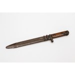 Polish Bayonet, 20th Century (I)