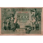 100 Koruna, 1902, Hungary
