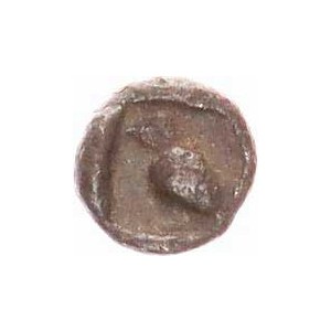 Ionie - Milétos (kolem 525-494 př. Kr.), AR tetartemorion (1/4 obolu) 0,22 g, Hlava lva zleva / kře