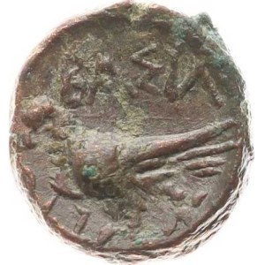 Egypt – Ptolemaios II. (285–246 pred n. l.), AE Dichalkon (254 pred n. l.), Byzancia (Trácia), averz: hlava