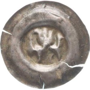 Václav II. (1278-1305), Brakteát střední C - 855, mělce vyražen, naprasklý