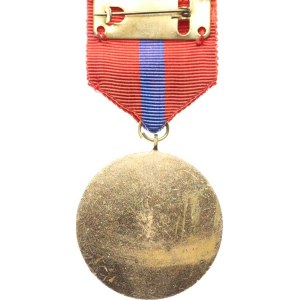 Hasičské medaile a odznaky, Medaile Za příkladnou práci SPO ČSSR pozlac. bronz
