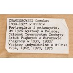 Czesław Znamierowski (1890 - 1977, Vilnius), Au bord d'un lac dans la forêt