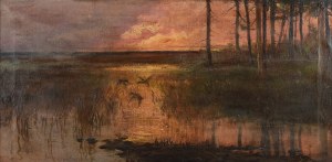 Marceli HARASIMOWICZ (1859-1935), Polesie - Zachód słońca, 1908