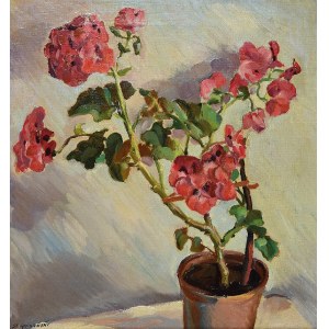 Stanisław RACZYŃSKI (1903-1982), Pelargonie w doniczce