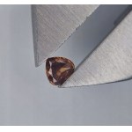 DIAMANT NATUREL DE COULEUR 0,22 ct | PURETÉ : SI1 | TAILLE : CŒUR Estimation officielle de l'expert : 1 747 USD (environ 7 000 PLN TTC)