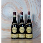 Italian wine - Mini vertical tasting of Amarone della Valpolicella, Bertani...