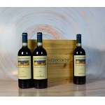 Italian wine - Brunello di Montalcino 2019, Castel Giocondo. Bru...