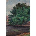 Jean (Jan Mirosław) Peské (Peszke) (1870 Gołta – 1949 Le Mans), Ländliche Landschaft